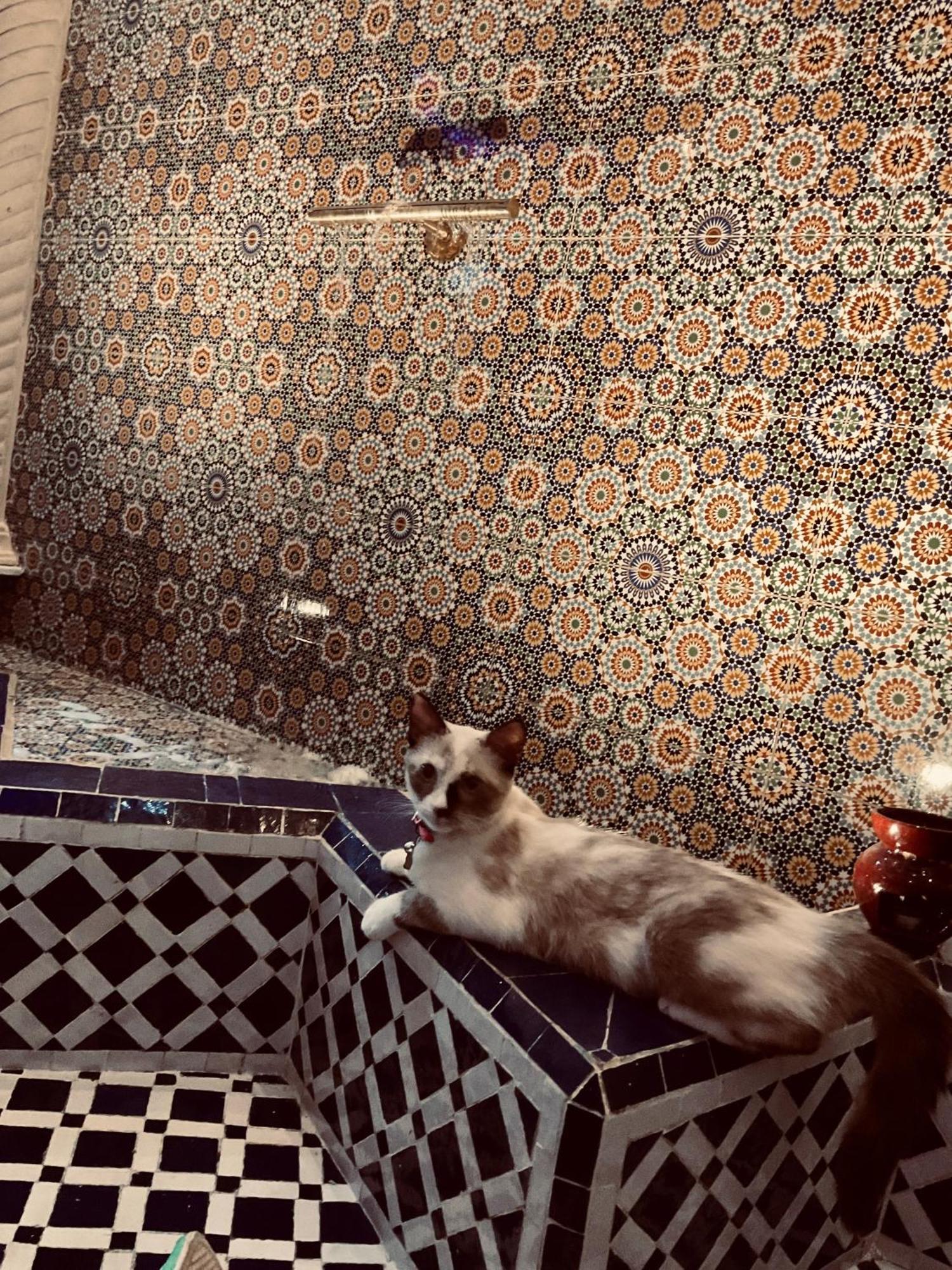 Riad Lalla Merieme Μαρακές Εξωτερικό φωτογραφία